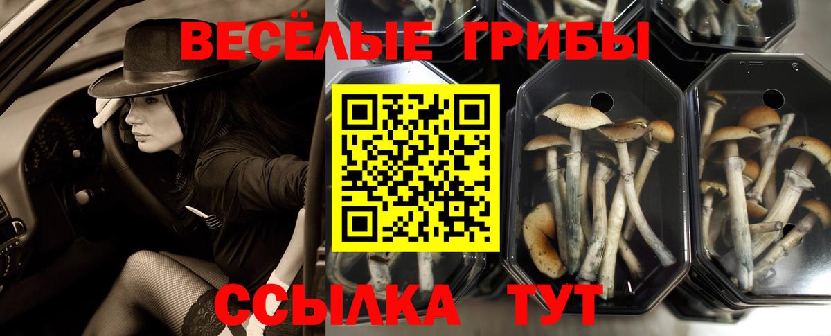 Галлюциногенные грибы Magic Shrooms  Вход с VPN  магазин    Корсаков 