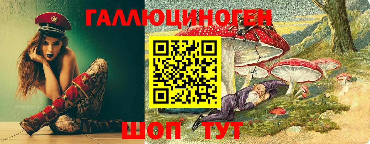 Галлюциногенные грибы GOLDEN TEACHER Корсаков